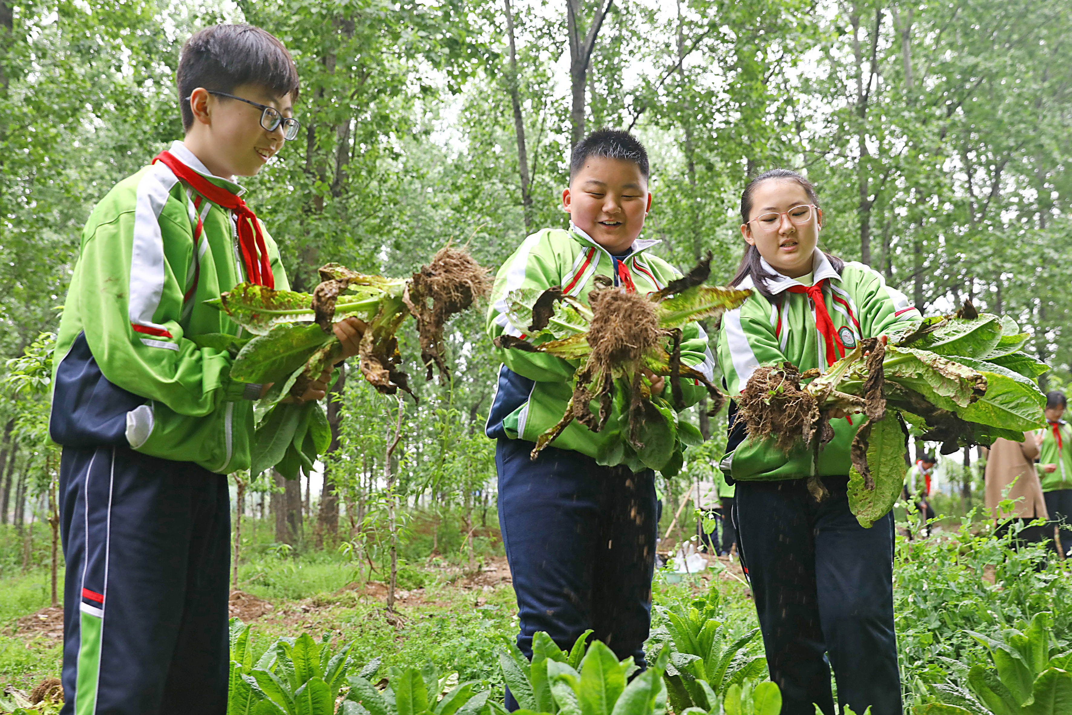 户外劳动课堂 学习劳动知识