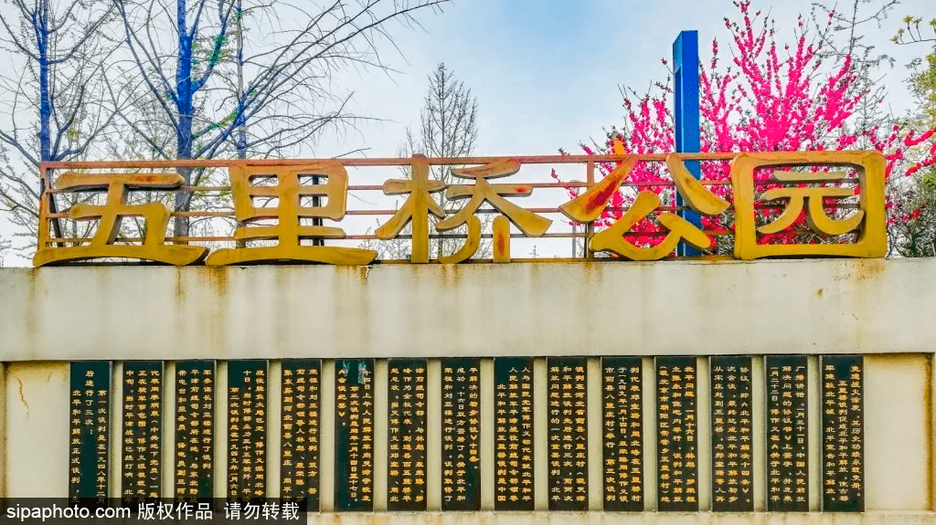 北京市海淀区紫雀路与地锦路交叉路口往南约50米 朝阳区:五里桥公园