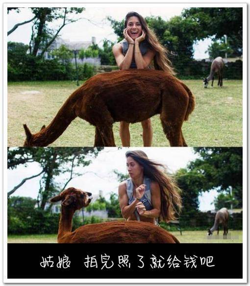搞笑gif:看到林志玲结婚的新闻后,我爸把导航语音换成了岳云鹏