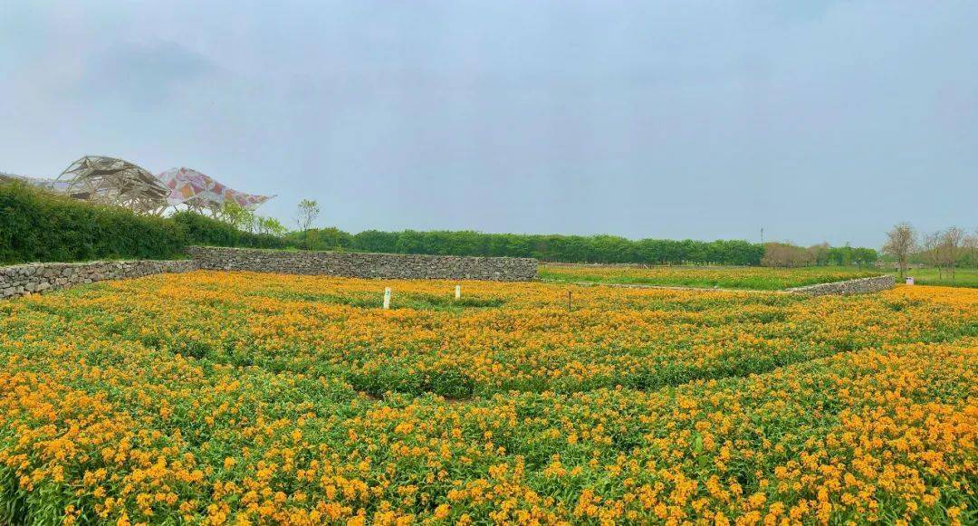 "五一"假期 | 三台山赏花季已开启～_花海