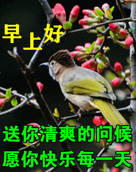 水至清则无鱼人至清则无朋早安
