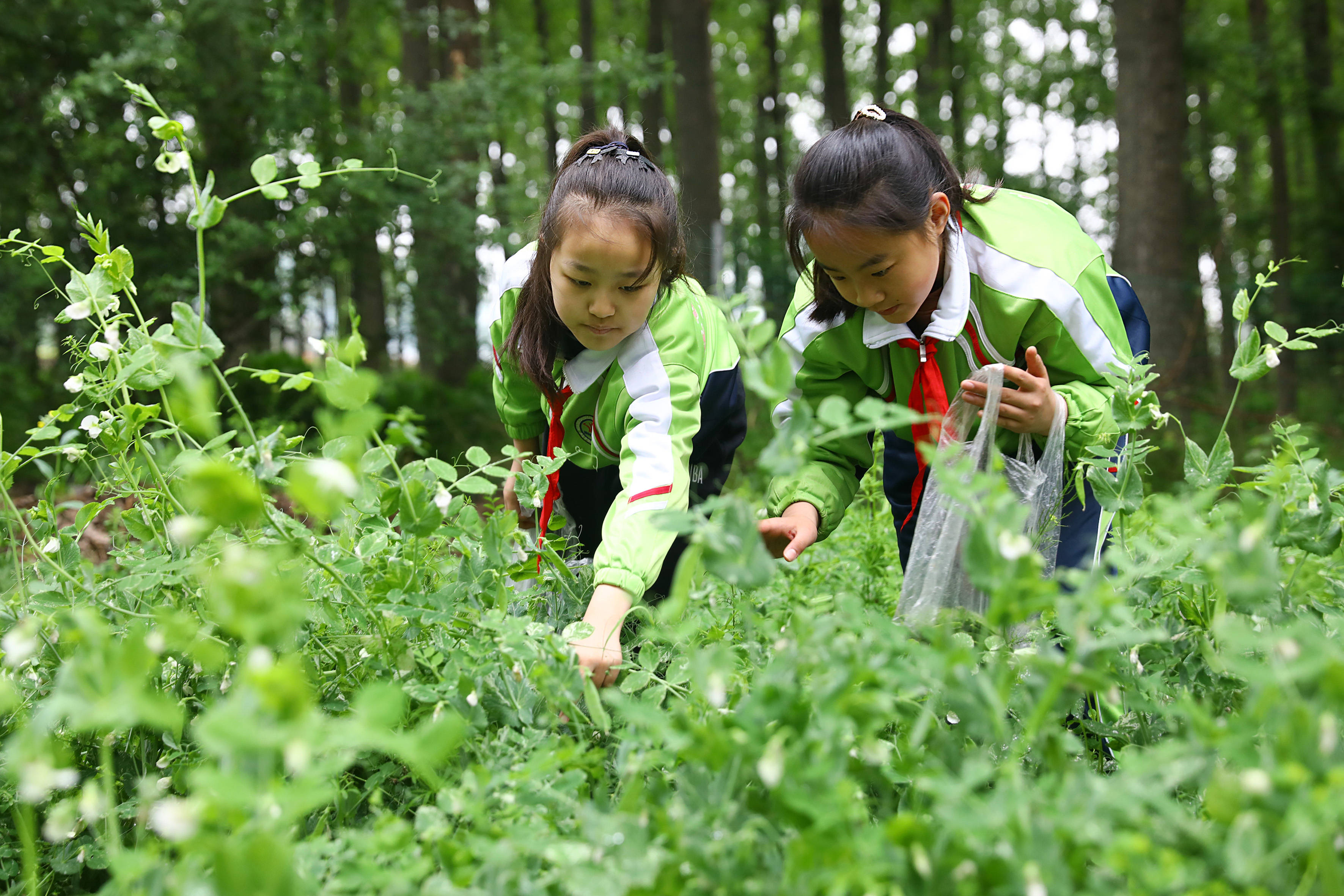 户外劳动课堂 学习劳动知识