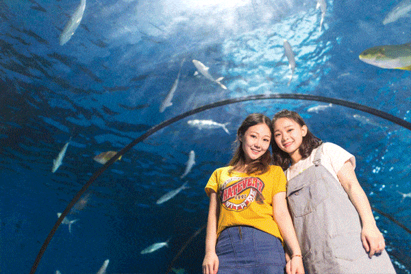 海底隧道的深邃迷恋,海洋生物的斑斓夺目……浪漫海底水族狂欢,北极熊