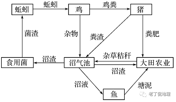 2021高频考点:人地协调发展之生态农业_模式图