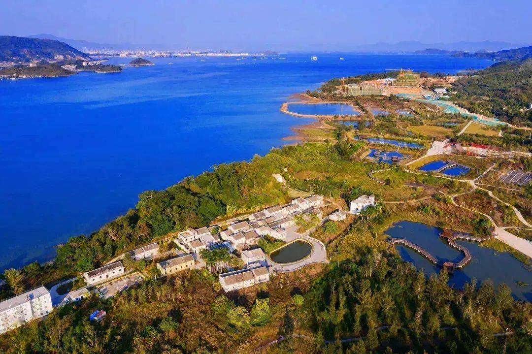 盐田区:盐田中央公园