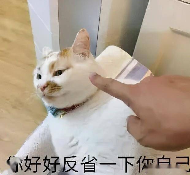 希望他能在里面好好反省一下吧