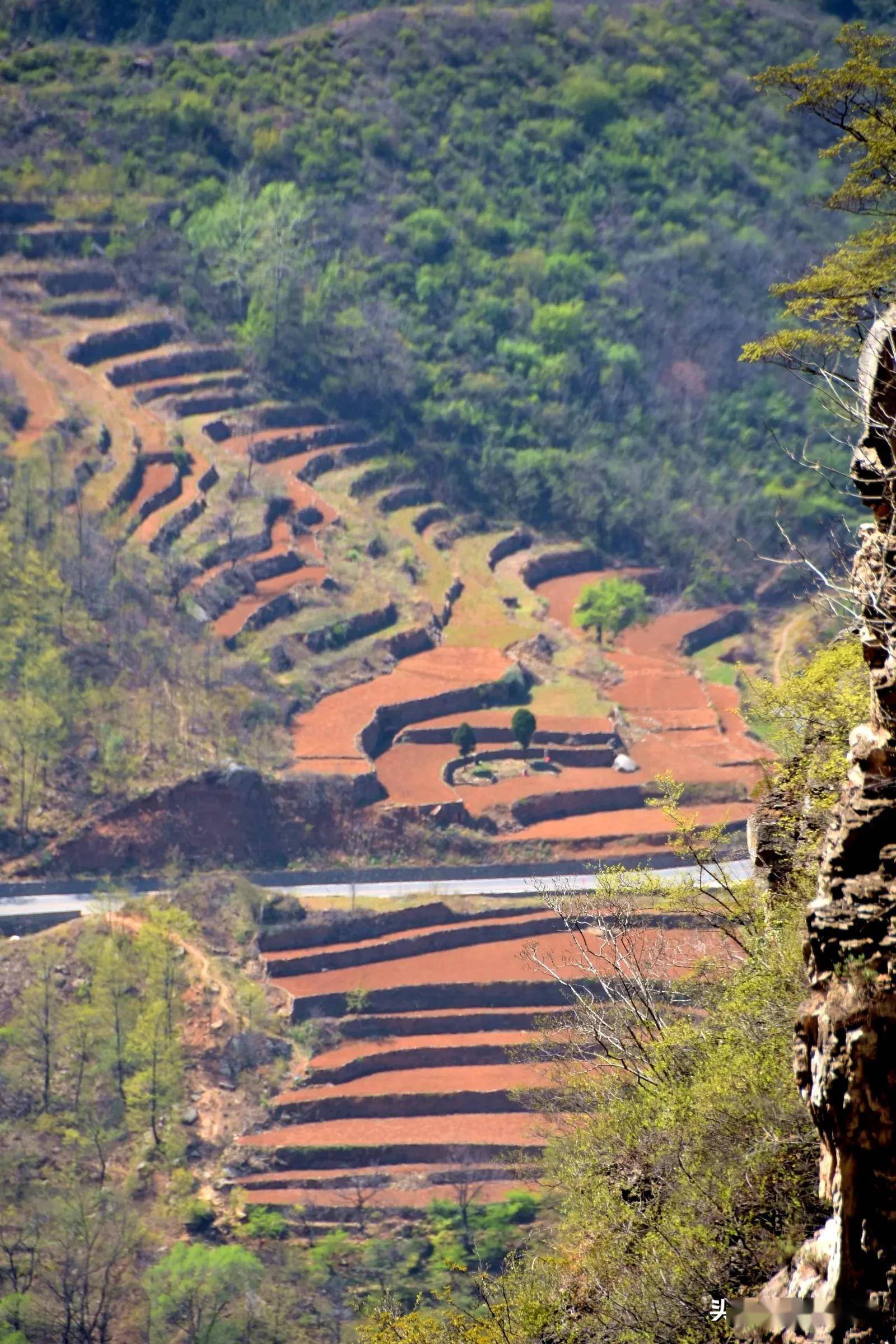 太行春天之乡村梯田(二)