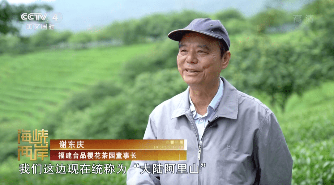 cctv4海峡两岸栏目茶结两岸缘台湾农民深耕福建漳平