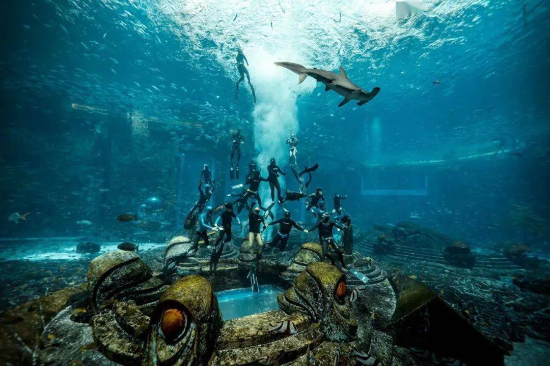 最大规模的水下人鱼秀吉尼斯世界记录64称号挑战成功!_亚特兰蒂斯