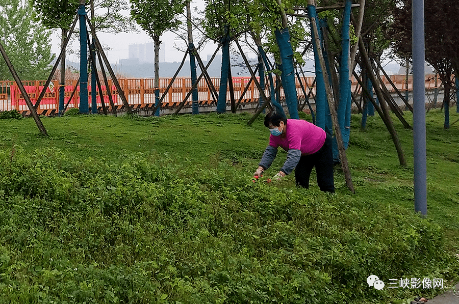 郑泽凯劳动最光荣