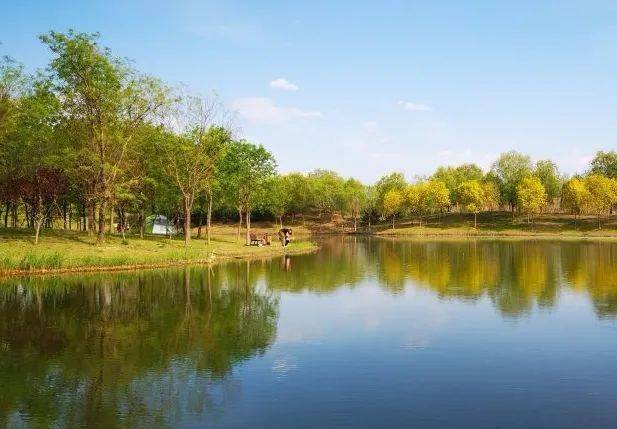 北京春天最不能错过这个湿地公园,您终于知道踏青赏花
