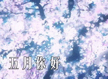 藏头打油小诗/四月再见,五月你好