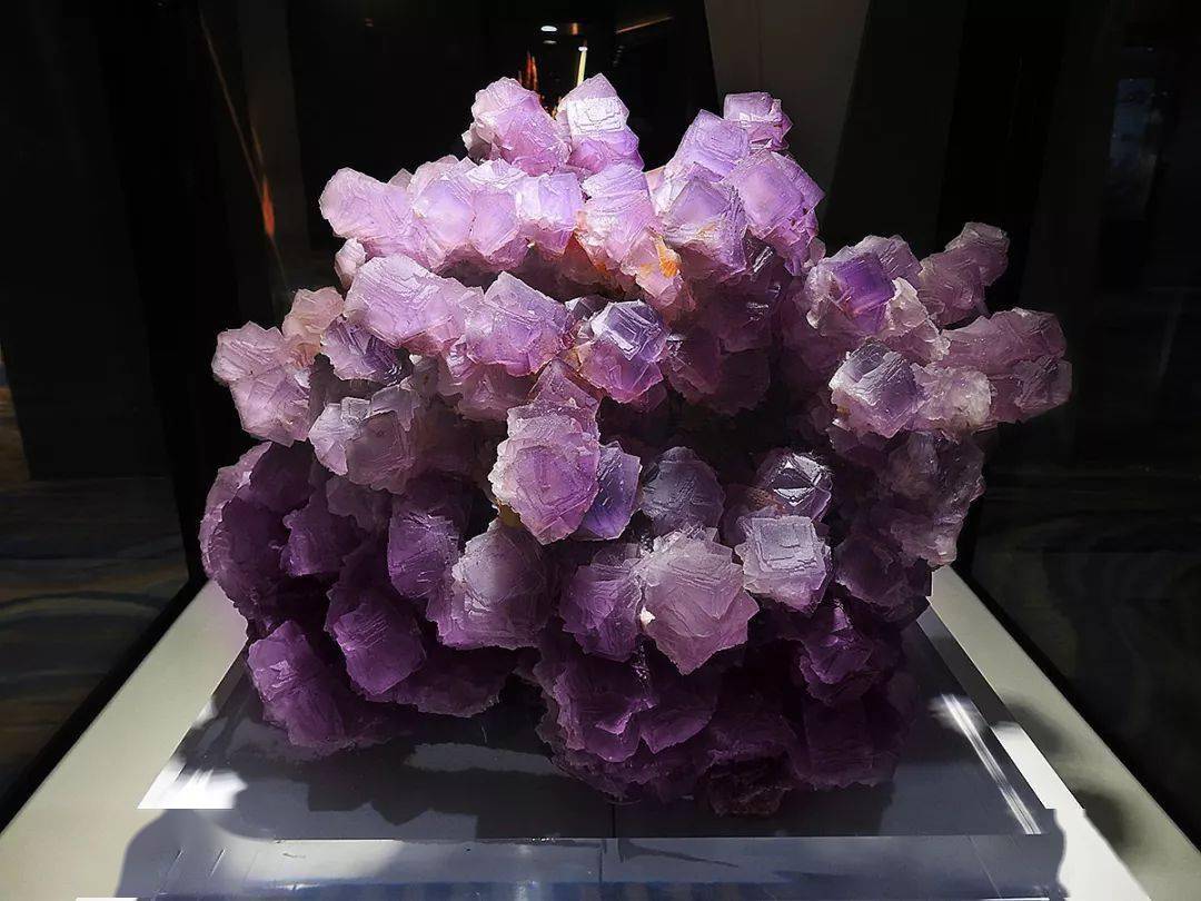 《矿晶扑克》推荐  紫水晶花朵(黄水生摄) 这是产自内蒙古克什克腾