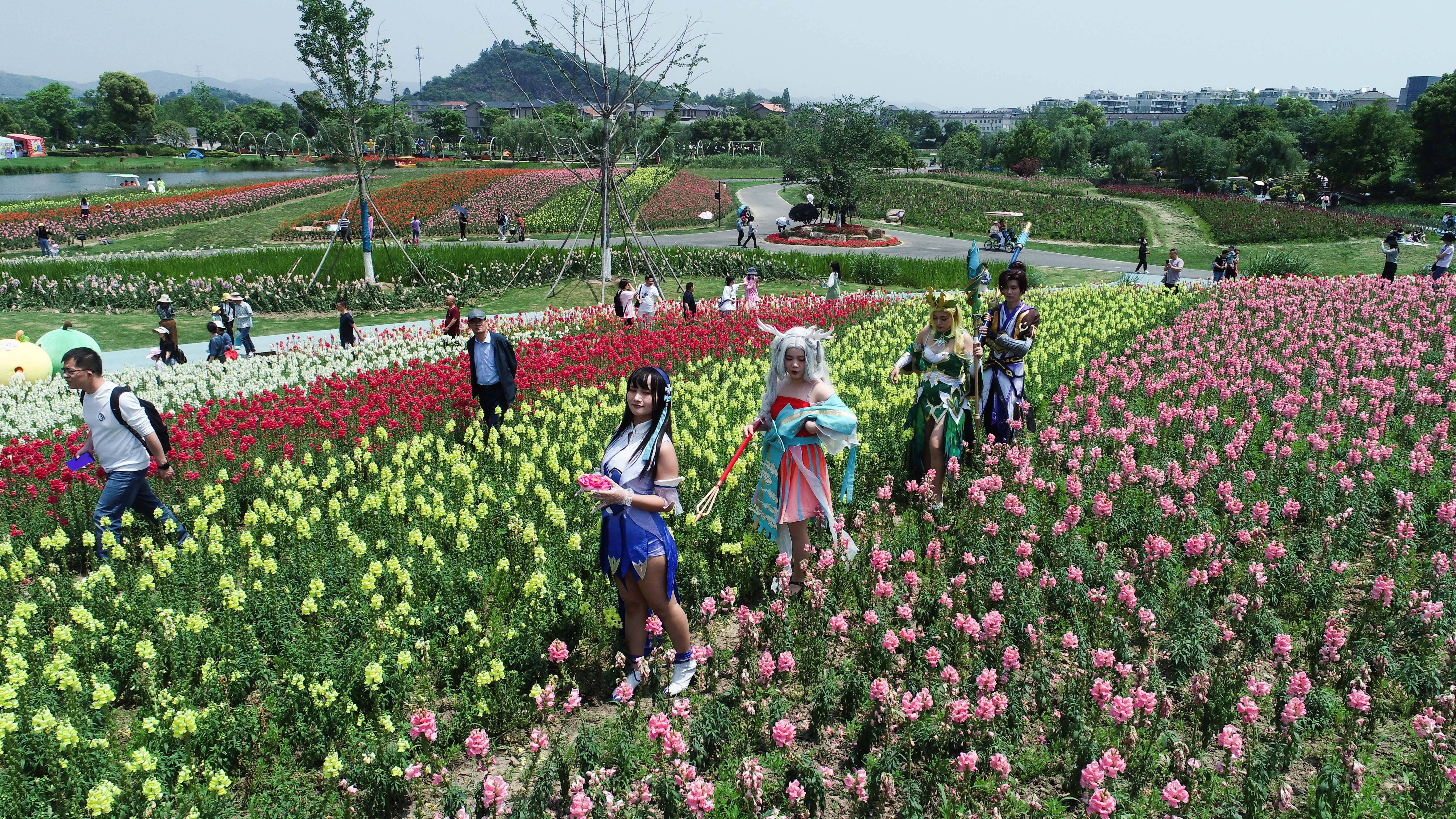 5月2日,径山花海景区内上演的动漫大巡游.