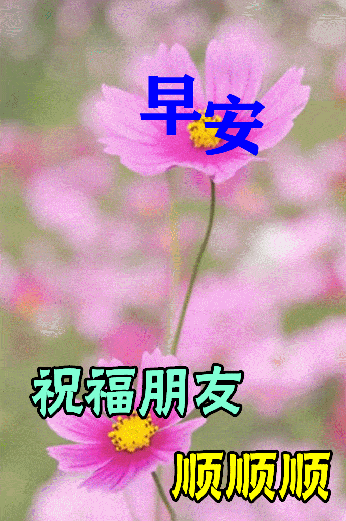 5月2日最漂亮早上好动态表情图片大全早上好动图美图大全
