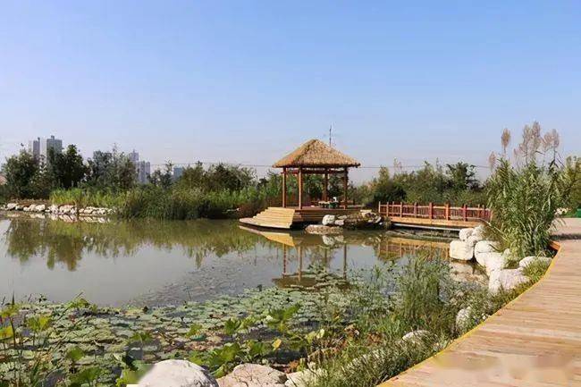灞桥生态湿地公园总体规划秉承"人与自然和谐共生"的理念,以灞桥,灞柳