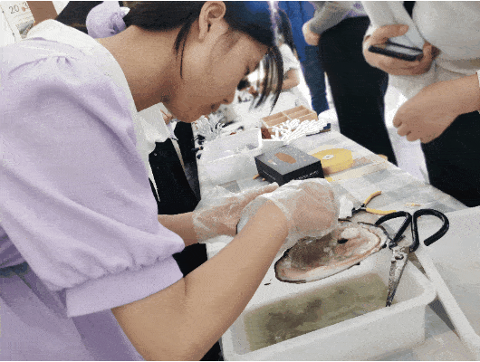 快来看燃爆五一的活动长什么样