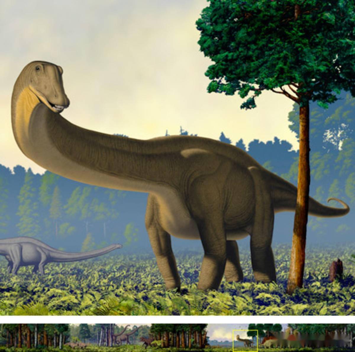 巨型恐龙迁移1000公里,证据竟是小石头_蜥脚类
