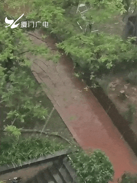 局地伴有短时强降水,8～10级短时大风,小冰雹等强对流天气