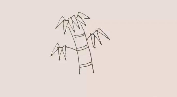 简笔画 | 竹子