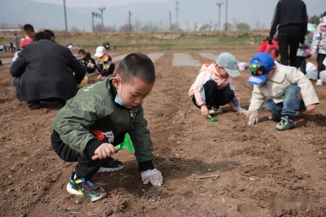 亲近自然 播种希望 ——榆中县幼儿园开展春耕实践活动