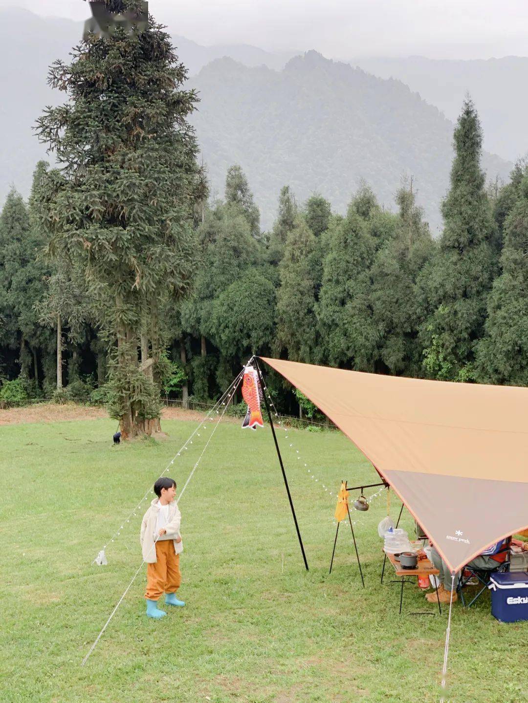 这9大烧烤露营地,赏景聚会,遛娃野餐巴适,最快1h飙拢_水库