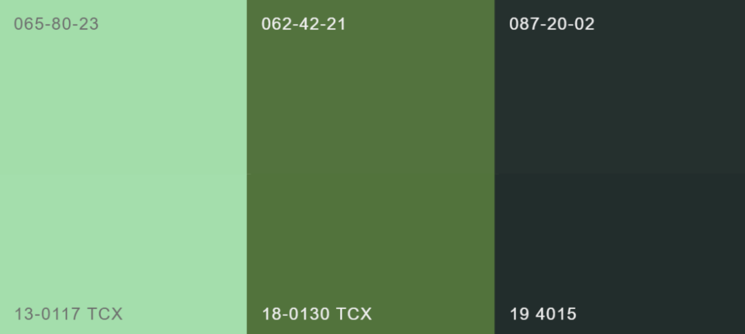 2021/22 秋冬绿色向丝绒松木色(18-5308 tcx)等更深更暗的色调转变