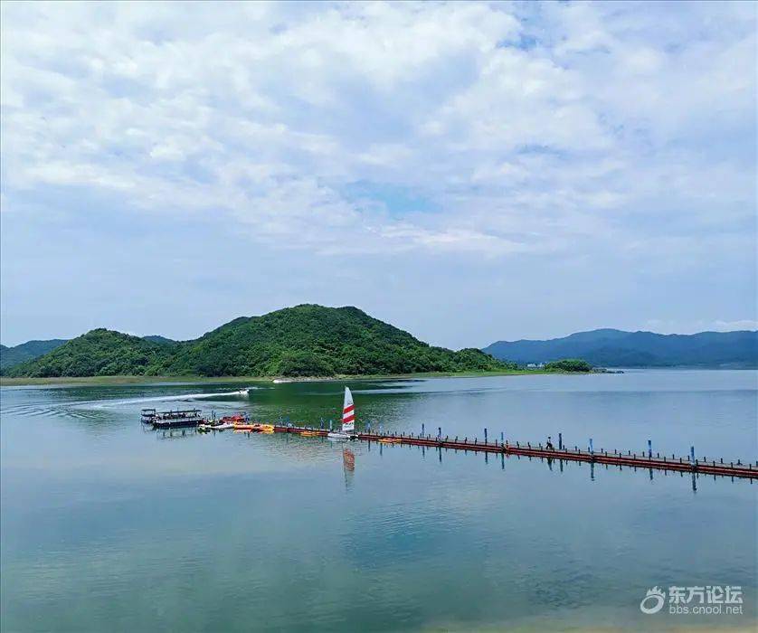 沙滩,碧海,马鞭草,宁波又一处免费网红打卡地