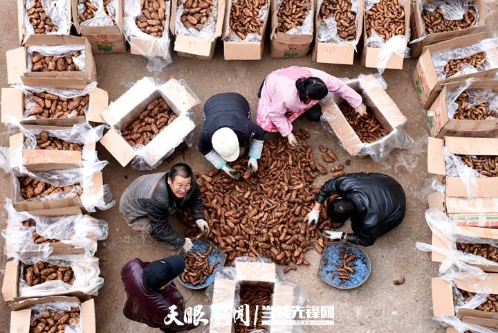 汇聚破浪前行的磅礴力量贵州中药材产业在大考中开启新征程