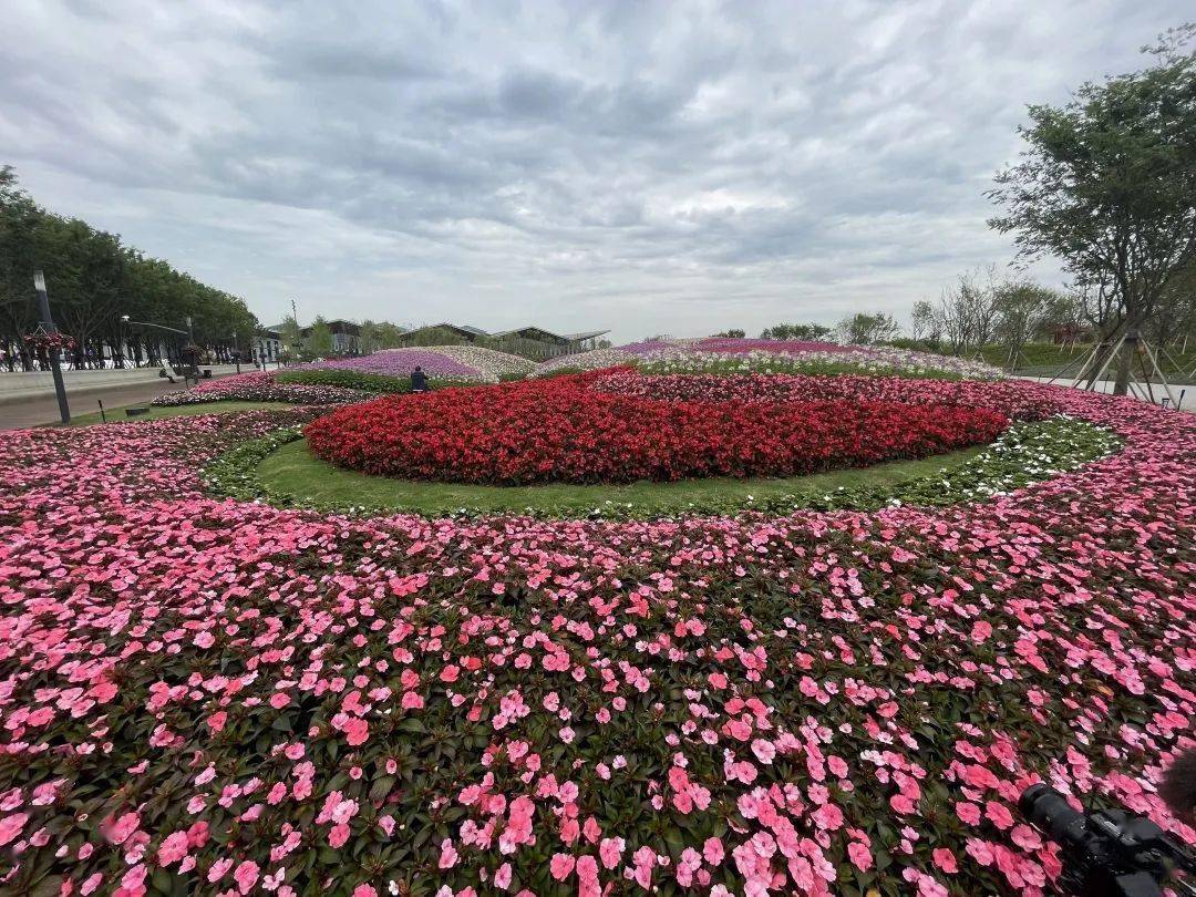 花博会记者带你提前探花