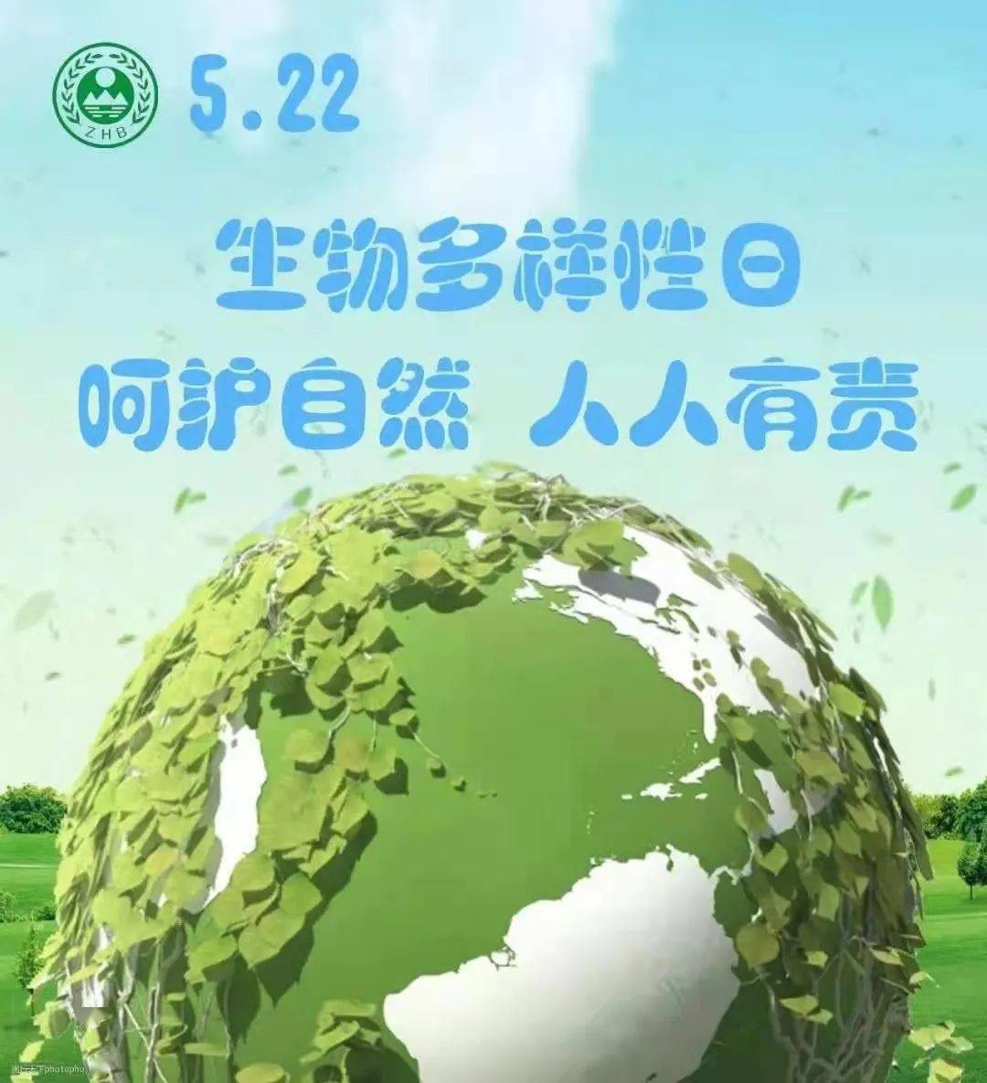 【生物多样性日】呵护自然 有你有我