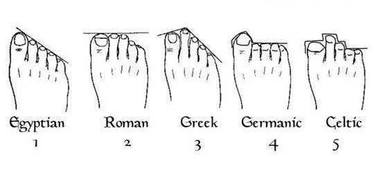 埃及脚    罗马脚    希腊脚    日耳曼 脚    凯尔特脚 埃及脚