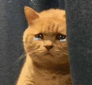 最新天气预报来了!扎心