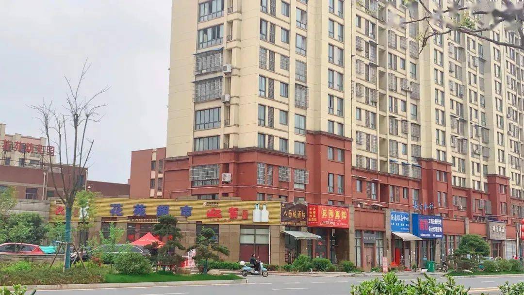 火了泾县这个楼盘刚一开盘现场就成了这样