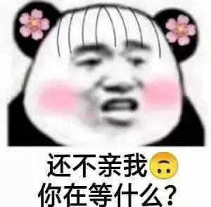 熊猫头表情包我懂我会照顾好嫂子的