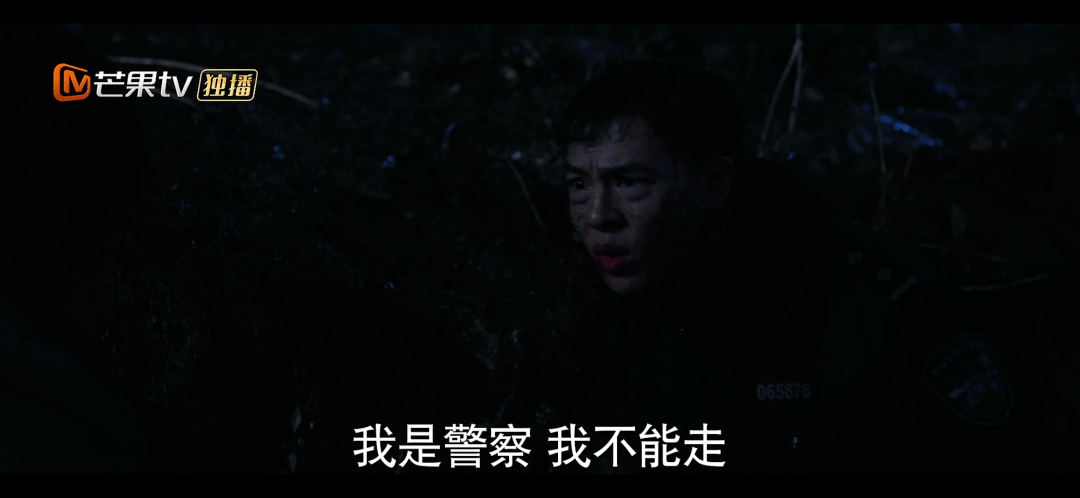 《猎狼者》影评:一集顶十集,这样的国产剧才刺激