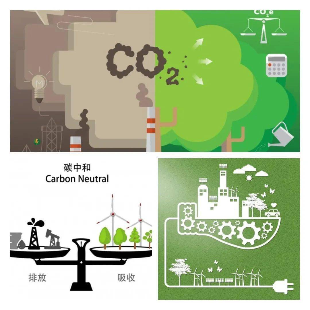 碳库碳中和有什么用_山东如何开展碳达峰碳中和_碳中和