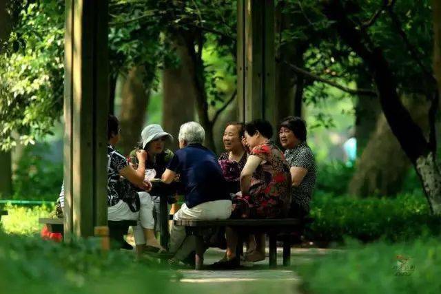 将来你老了,指望谁?听听一群老人的实在话
