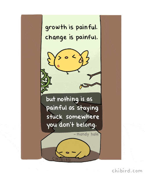 震撼心灵的英文小漫画:生活不易,且行且珍惜