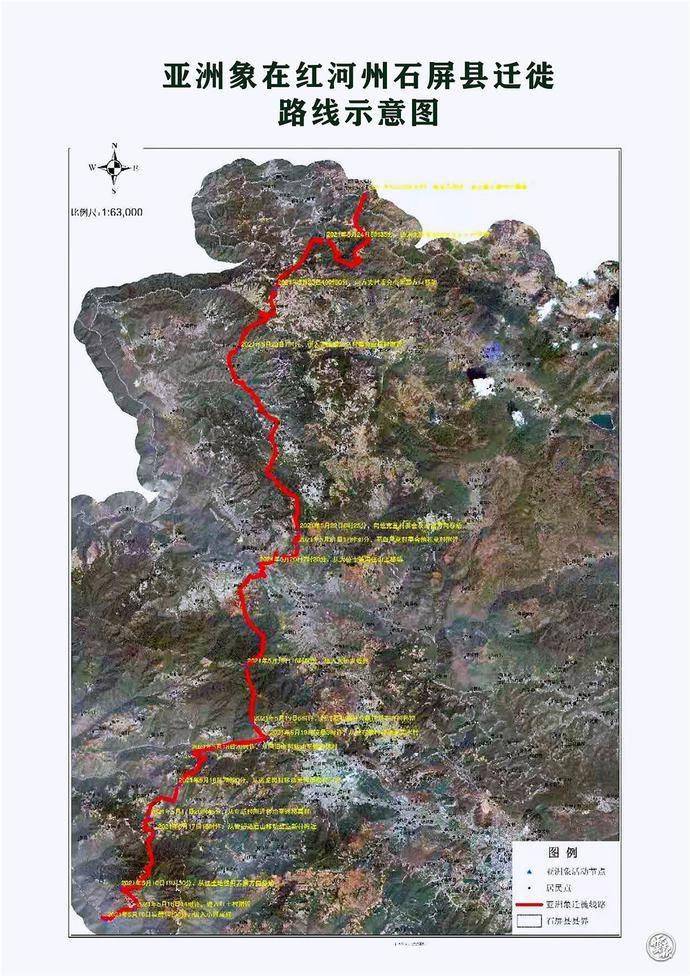 大象去哪?15头亚洲象一路向北进入云南峨山县城,离昆明越来越近