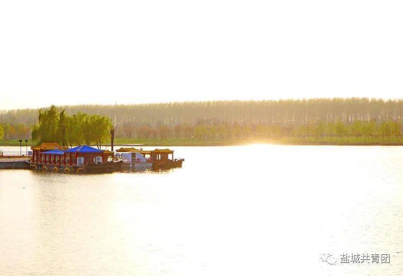 每一帧都是风景——盐城大洋湾生态旅游景区