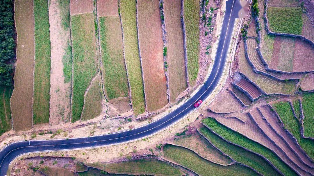 临沂这条道路获评2020年度中国"十大最美农村路"