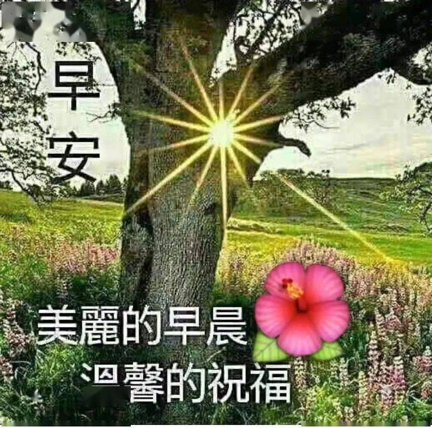 【早安馨语】但愿健康终相伴,彼此温暖情永久