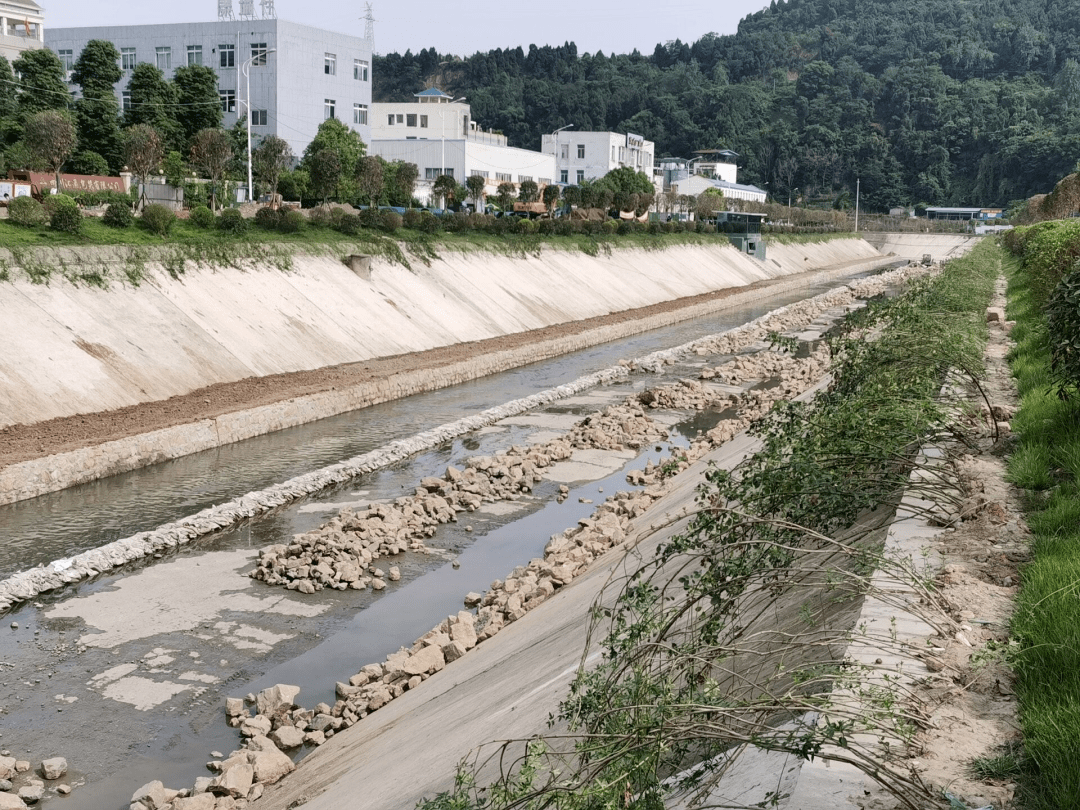 【关注】城投公司打造生态河道,改善内河水质