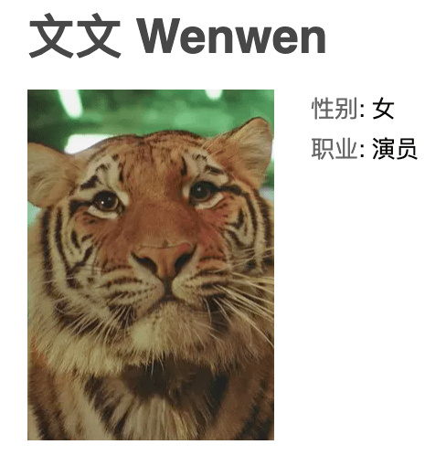 主演是老虎这个六一和孩子的奇幻之旅从它开始