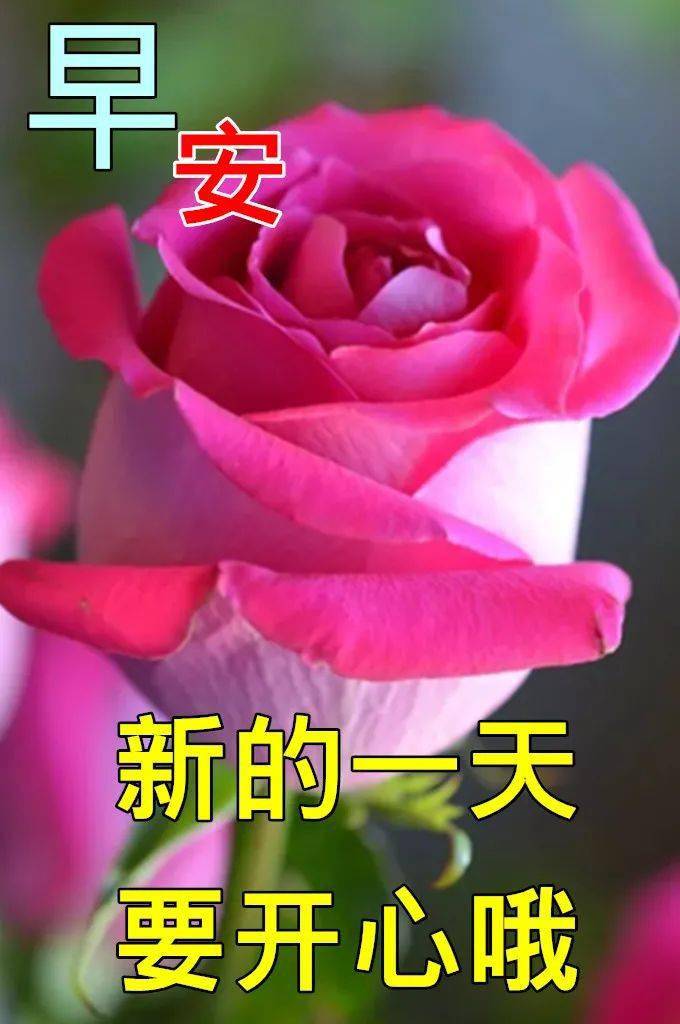 6月1日儿童节最漂亮早上好动态表情图片大全,早晨好动图美图大全