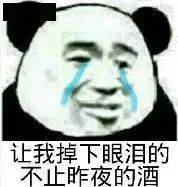 熊猫头表情包i想说的话都在我手里了