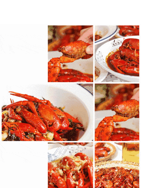 夜崇明,嗨起来!首个六六夜市灯笼樱花节明日开启