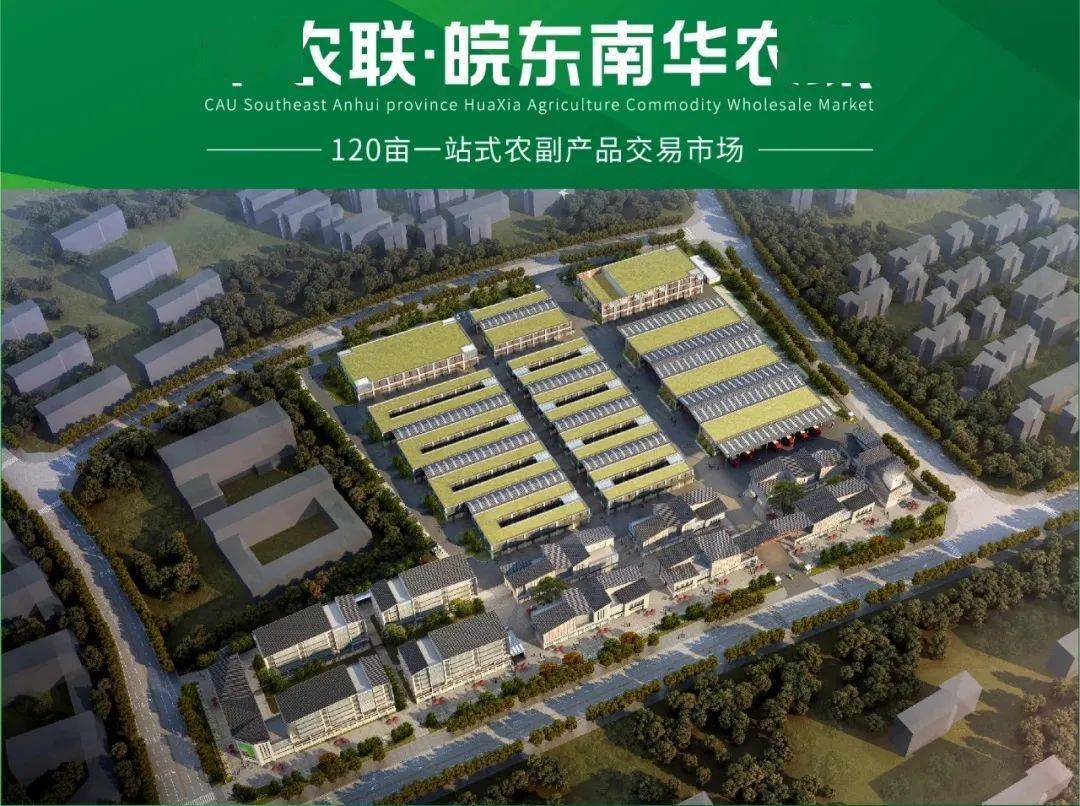 中沃建筑承建的中农联皖东南泾县农产品批发市场开工典礼圆满结束