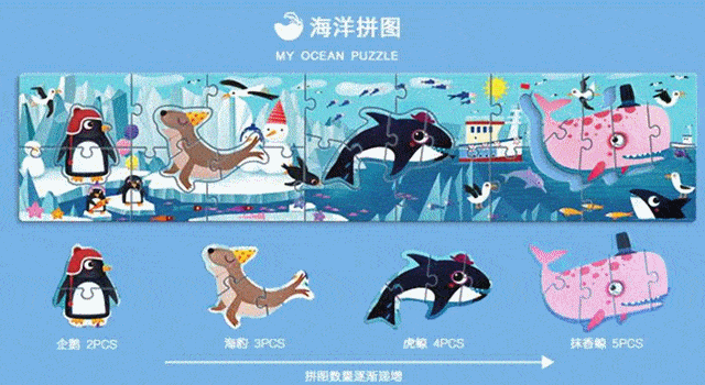 探秘海底世界|海洋精灵总动员研学一日游,报名啦